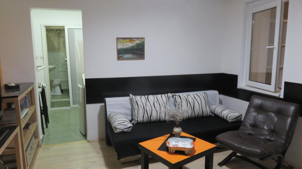 Guest House Pavlovic Sokobanja Extérieur photo